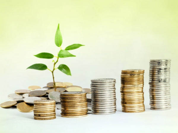 आइये जानते हैं कि डॉग कॉइन क्रिप्टोकरेंसी का आज क्या रेट है