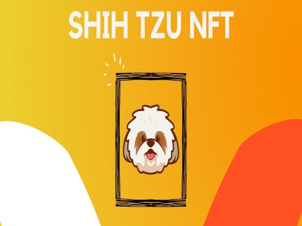 कौन कौन से कॉइन में दिखी तेजी