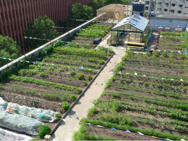 कैसे हुई शुरुआत