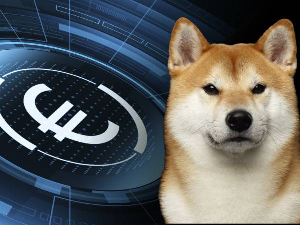 कितनी है मार्केट कैपिटल