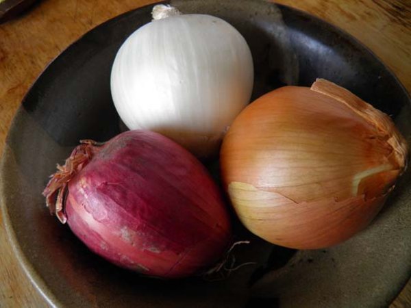 ये है प्याज के पेस्ट के कारोबार की प्रोजेक्ट रिपोर्ट का डिटेल