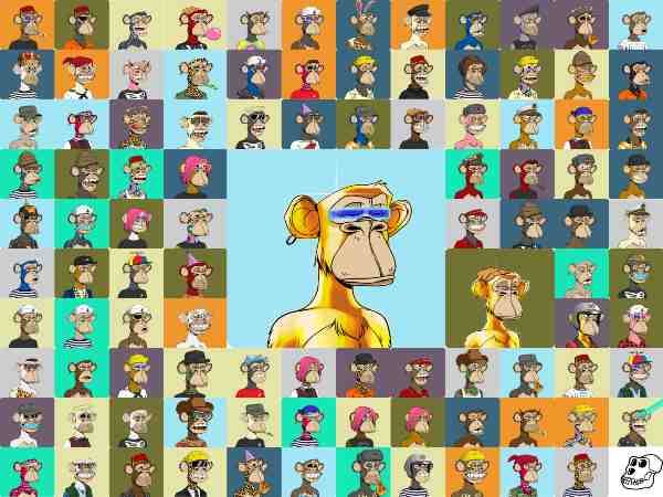 5 साल से ले रहे सेल्फी