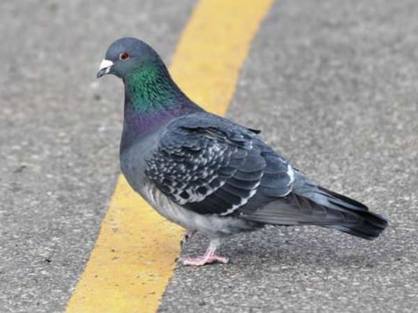 कहां से आई संपत्ति