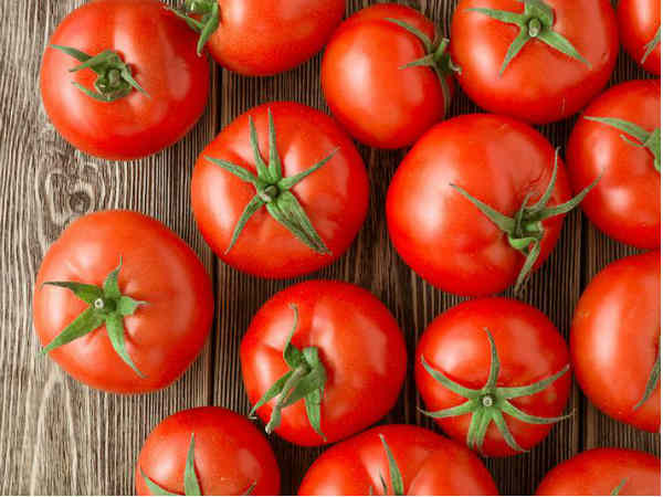 500 क्विंटल तक पैदावार