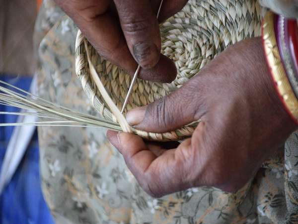 ईकोलूप के प्रोडक्ट्स