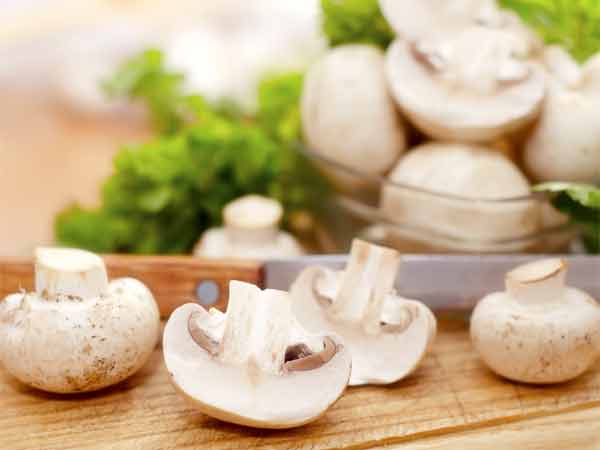 कैसे करें खेती