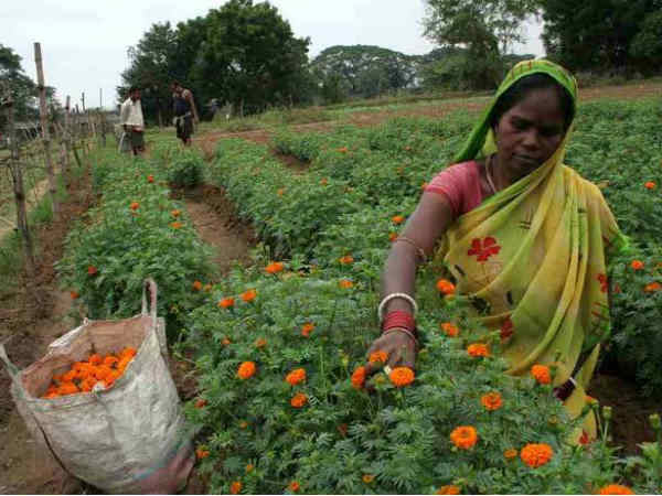 जानिए कैसे करें शुरू करें फूलों का कारोबार