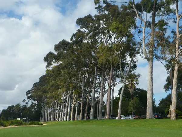 मेहनत कम मुनाफा ज्यादा