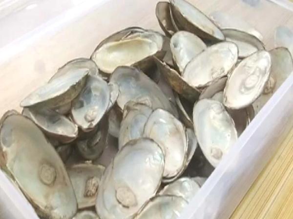 इस बिजनेस को शुरू कैसे करना है  