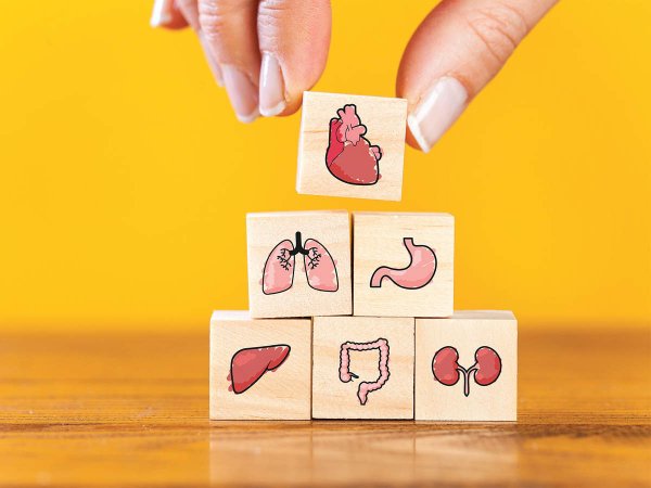 जीवन के लिए एक स्वास्थ्य सुरक्षा