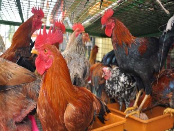 महीने में चार लाख रुपए से भी ज्यादा का बिजनेस