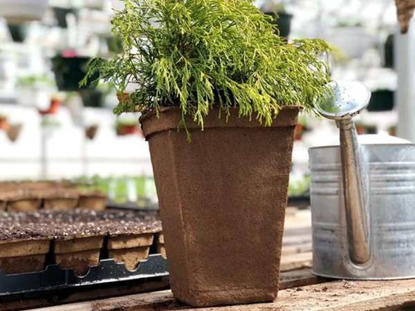 गोबर के गमले की बढ़ी मांग