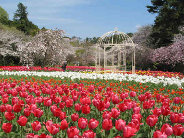 पिता का शानदार बिजनेस