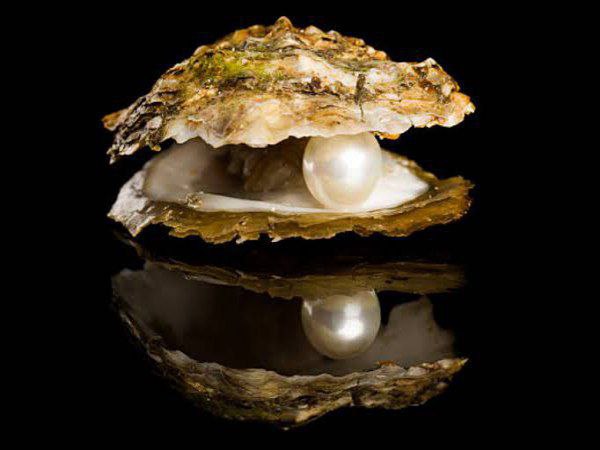 कैसे करे व्यापार