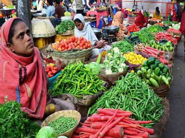 फलों का उत्पादन