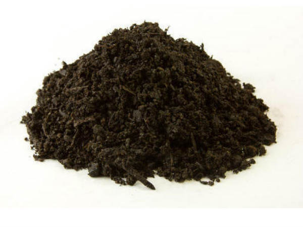 वर्मीकम्पोस्ट उत्पादन में रुचि