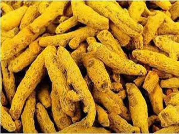 कितना होगा मुनाफा 