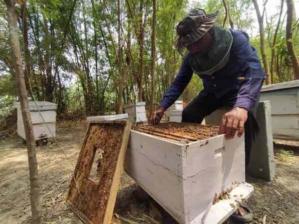 सलाना टर्नओवर दो करोड़ रू का है 