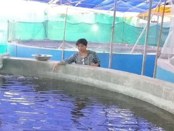 ऑनलाइन सर्विस की दुकान