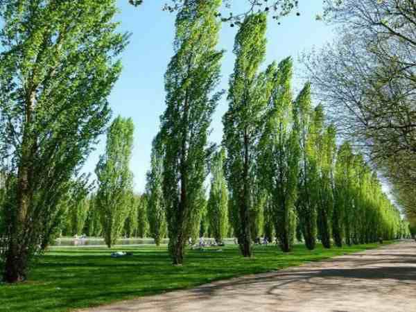 जरूरत होगी 5 से 45 डिग्री सेल्सियस तापमान की