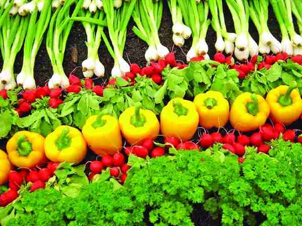 कई महीनों तक किया प्रयोग