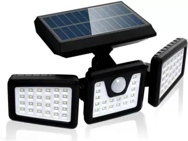 कितनी है कीमत और कहां से खरीदें