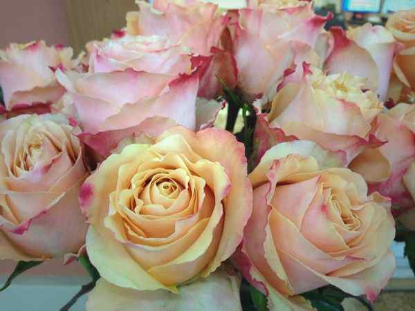 करोड़ों नहीं अरबों में है कीमत