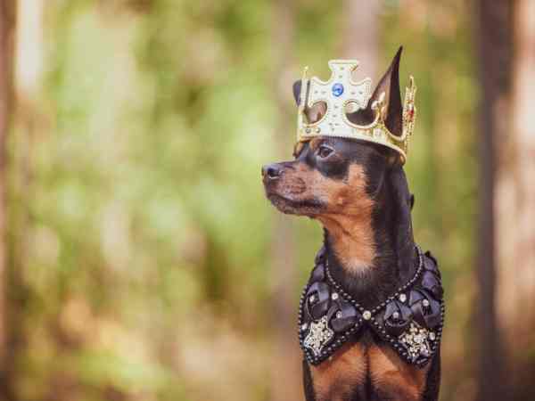 2016 में मिला आइडिया