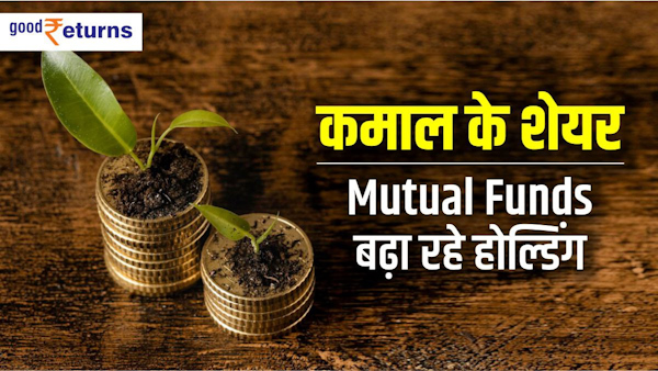 Shares in which mutual funds have more holding