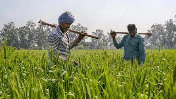 Telangana beneficiaries of Rythu Bandhu 