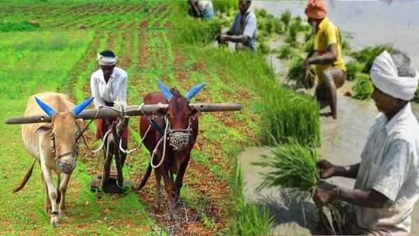 आंध्र प्रदेश पहुंचा अंतरराष्ट्रीय प्रतिनिधिमंडल