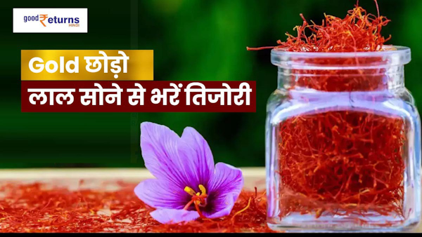 Saffron Farming Business Plan