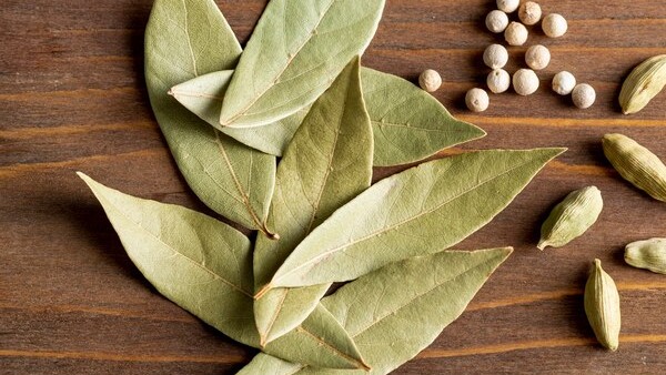 bay leaf