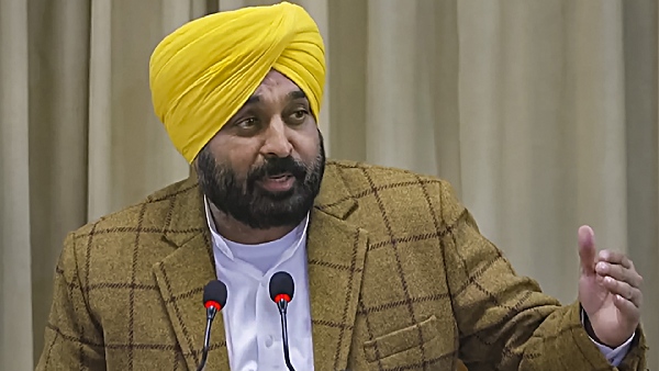 Punjab international border plot