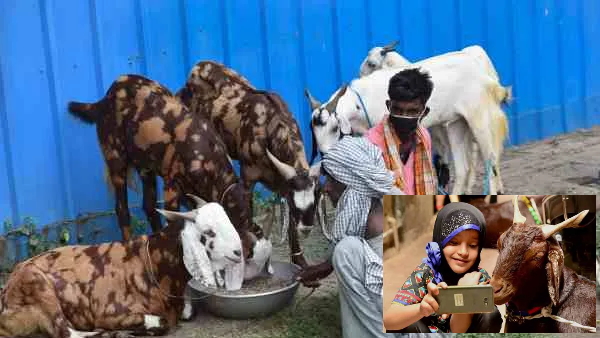 UP Government Schemes