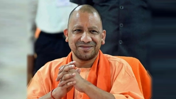 yogi 600.jpg