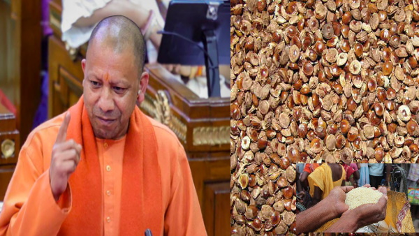 UP Government Scheme