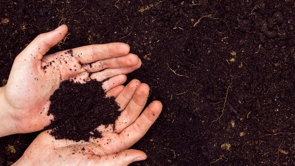 Vermicompost Business Idea Vermicompost Business Idea