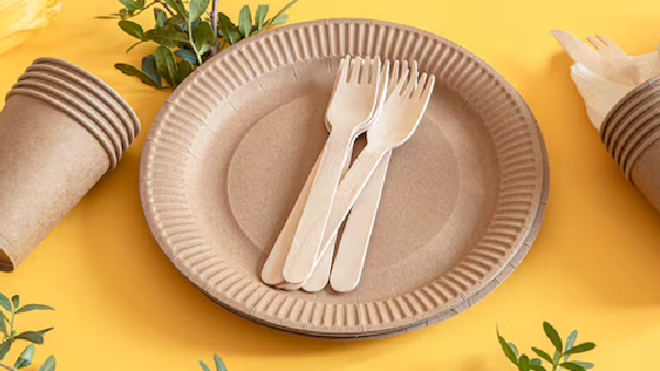 paper plate paper plate