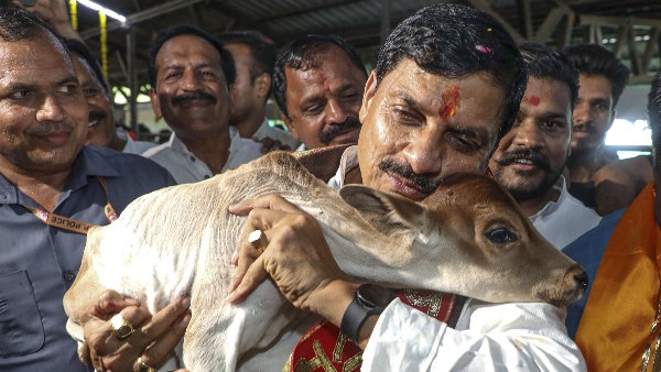 mp cm mohan yadav