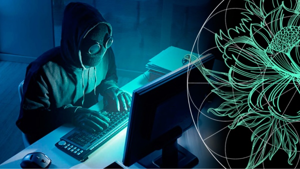 Cyber crime prevention tips