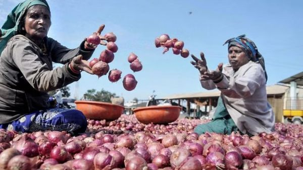 onion-prices