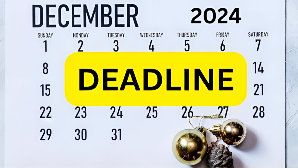 31 december 2024 deadline