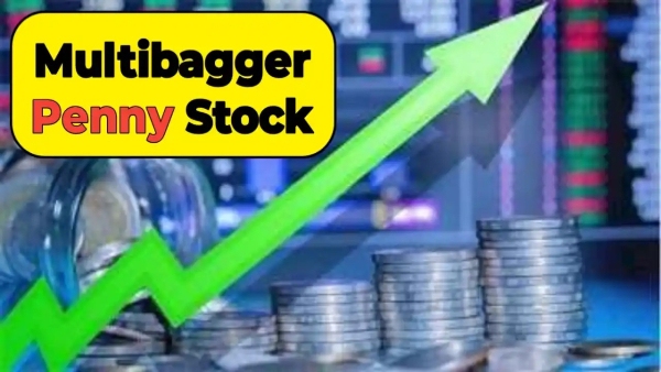 multibagger-stock