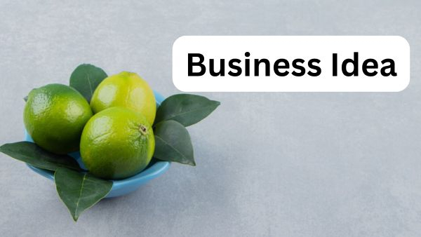 Business Idea