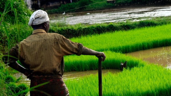 Pradhan Mantri Kisan Maandhan Yojana Pradhan Mantri Kisan Maandhan Yojana