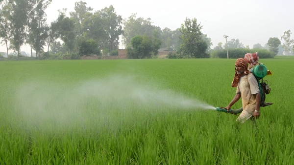 Top 5 Farmer Schemes Top 5 Farmer Schemes
