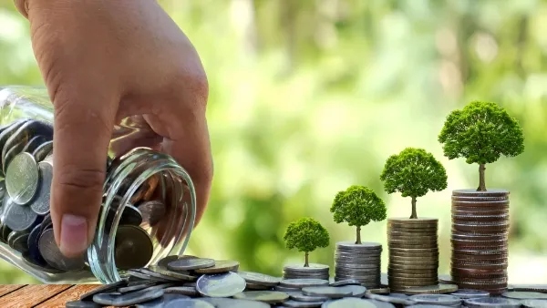 PNB Savings Account Scheme