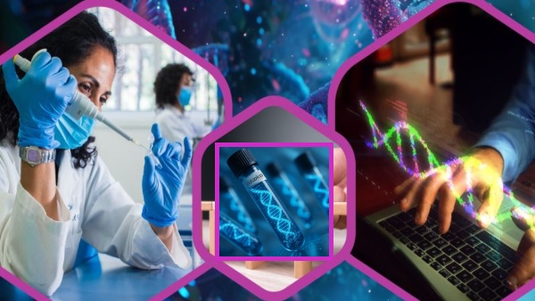 Journey of Startup Azooka labs