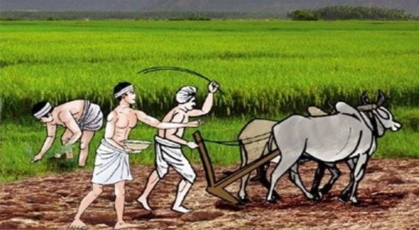 cm kisan samman nidhi yojana
